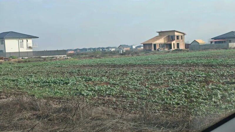 Vidra, Manastirea,