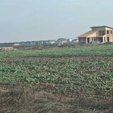 Vidra, Manastirea